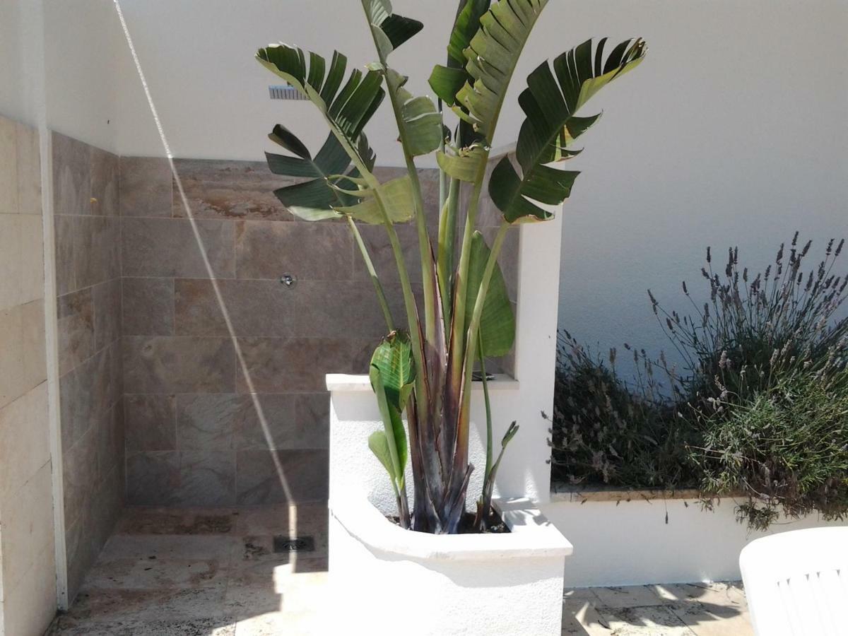 Appartamento Apartamento Sol- Fanals Lloret de Mar Esterno foto